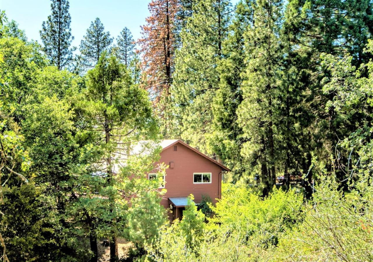 Villa Sequoia Trails, mountains, fun&relax à Ponderosa Extérieur photo
