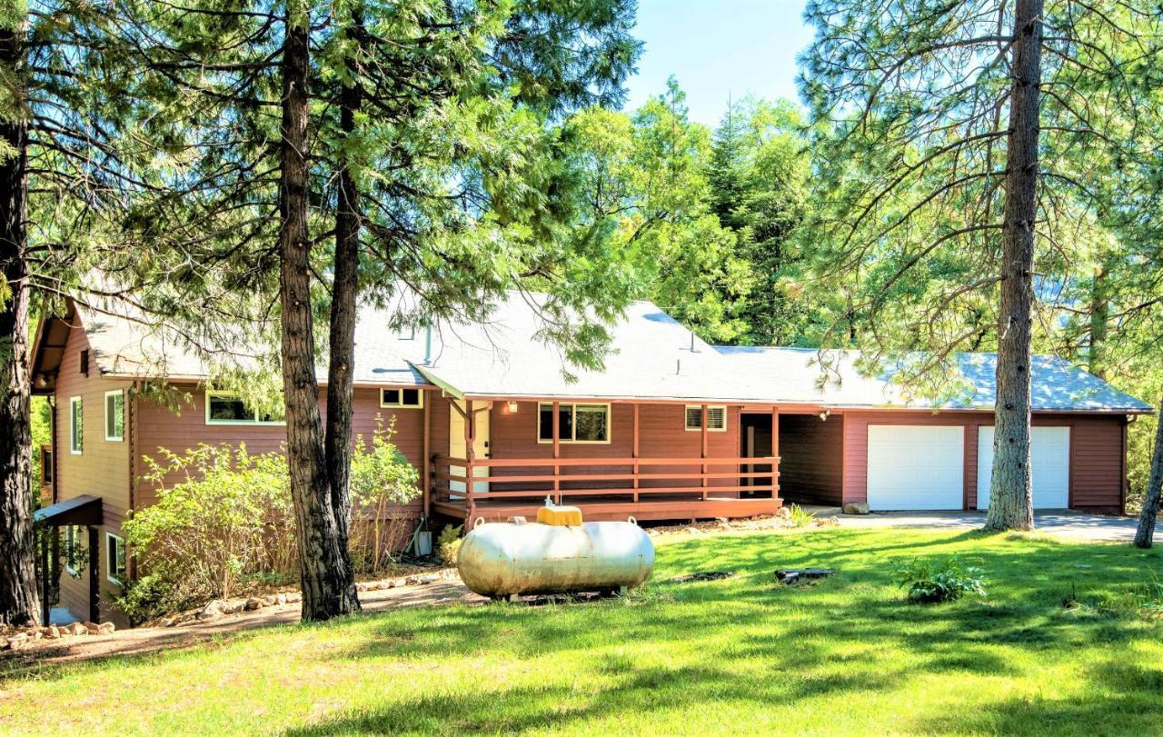 Villa Sequoia Trails, mountains, fun&relax à Ponderosa Extérieur photo